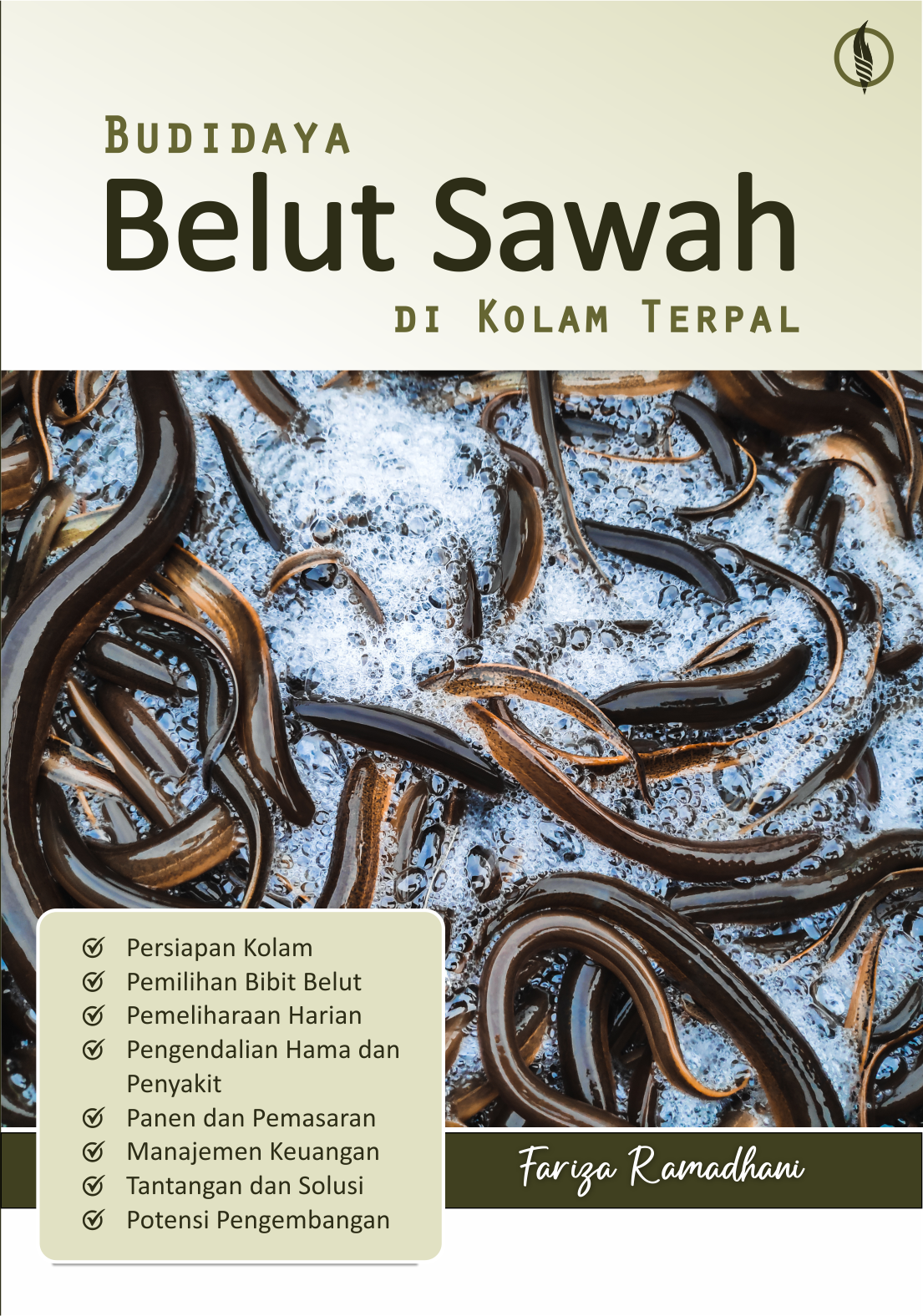 Budidaya Belut Sawah di Kolam Terpal